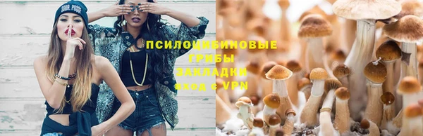 гашик Новосибирск