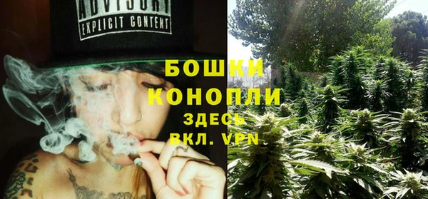 мяу мяу мука Ессентукская