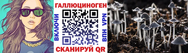 Галлюциногенные грибы Cubensis Бийск