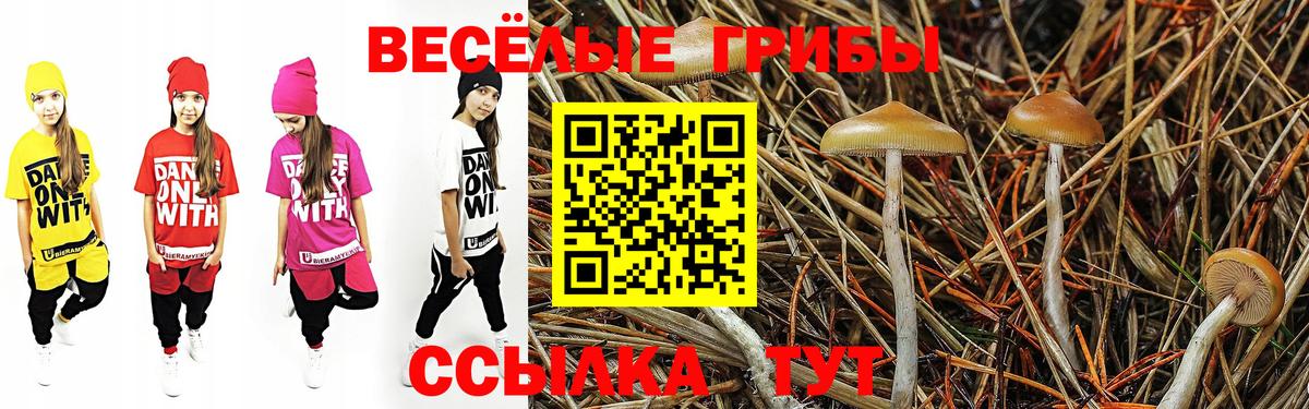 Псилоцибиновые грибы мицелий  Бийск  Галлюциногенные грибы мухоморы 