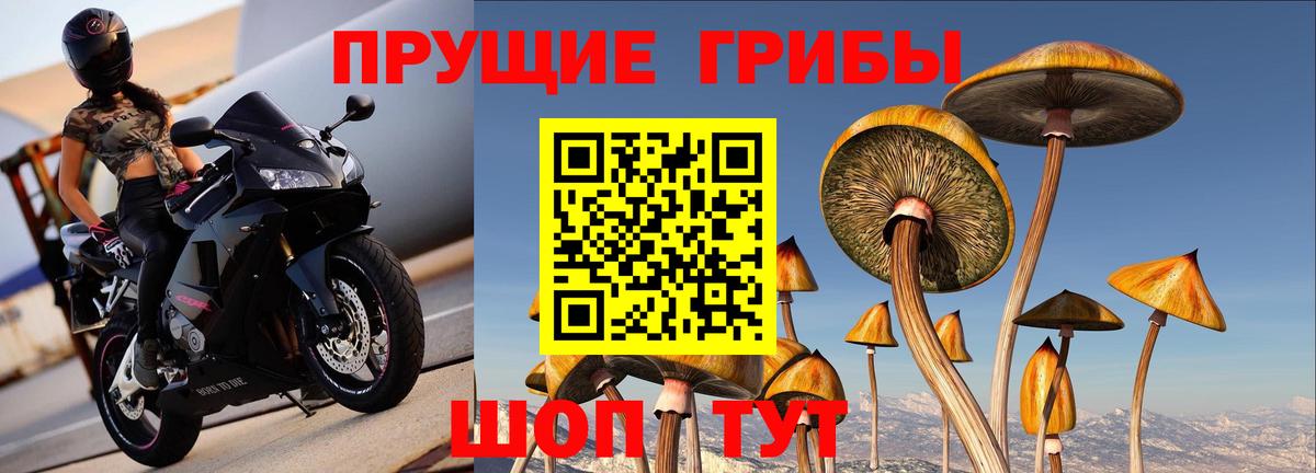 Псилоцибиновые грибы MAGIC MUSHROOMS Бийск