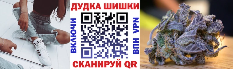 Каннабис Amnesia  shop официальный сайт  Бийск  где купить наркотик 